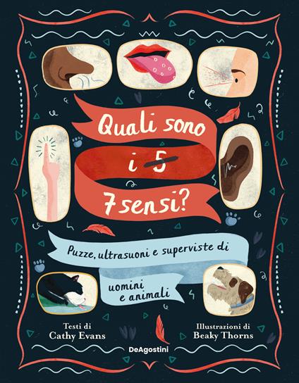 Quali sono i 5-7 sensi? Puzze, ultrasuoni e superviste di uomini e animali - Cathy Evans - copertina