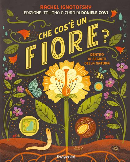 Che cos'è un fiore? Dentro ai segreti della natura - Rachel Ignotofsky - copertina