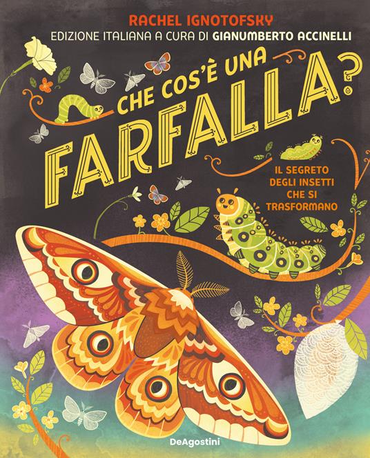 Che cos'è una farfalla? Il segreto degli insetti che si trasformano - Rachel Ignotofsky - copertina