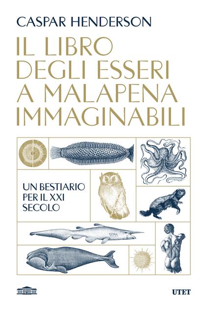 Il libro degli esseri a malapena immaginabili. Un bestiario per il XXI secolo - Caspar Henderson - copertina