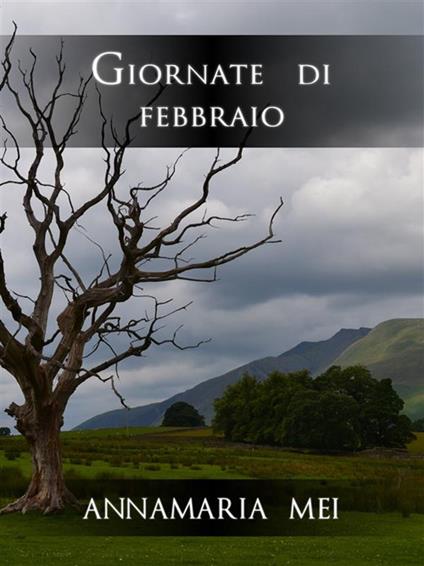 Giornate di febbraio - Annamaria Mei - ebook