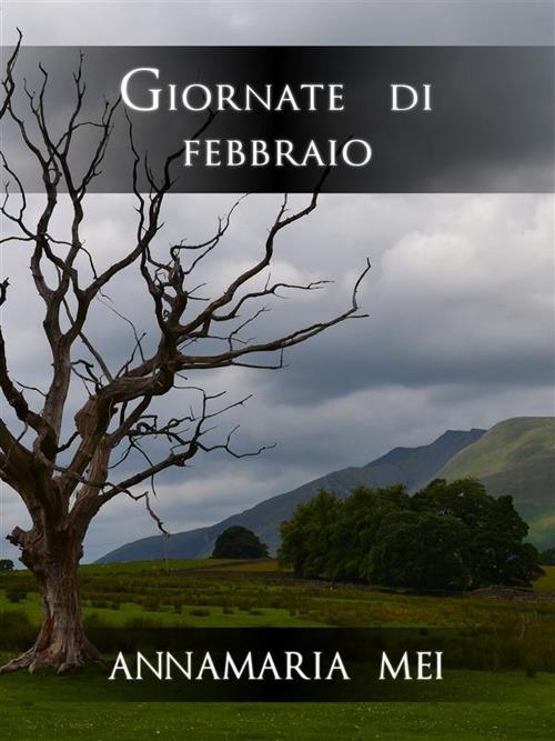 Giornate di febbraio - Annamaria Mei - ebook