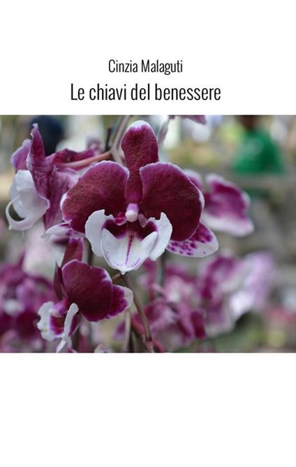Le chiavi del benessere - Cinzia Malaguti - copertina