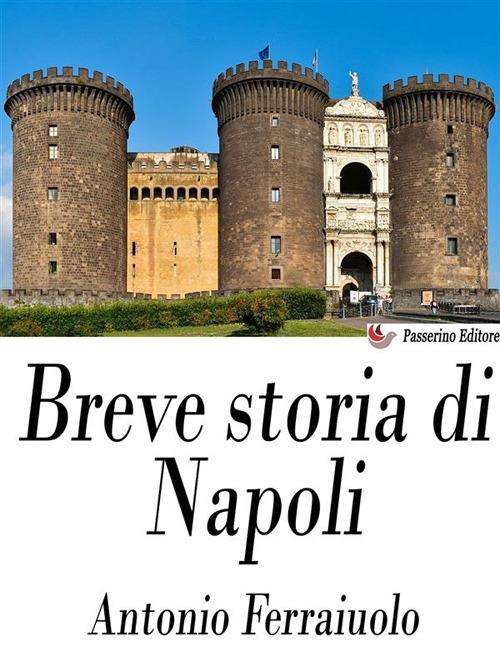 Breve storia di Napoli - Antonio Ferraiuolo - ebook