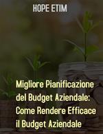 Migliore pianificazione del budget aziendale: come rendere efficace il budget aziendale