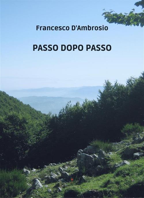 Passo dopo passo - Francesco D'Ambrosio - ebook
