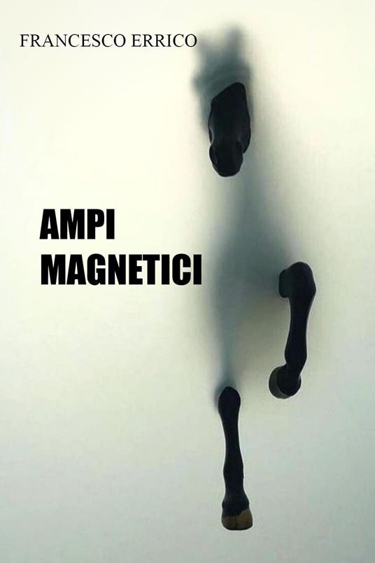 Ampi magnetici - Francesco Errico - copertina