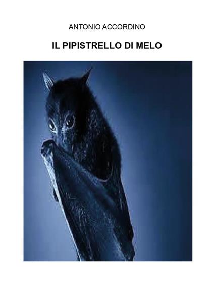 Il pipistrello di melo - Antonio Accordino - copertina