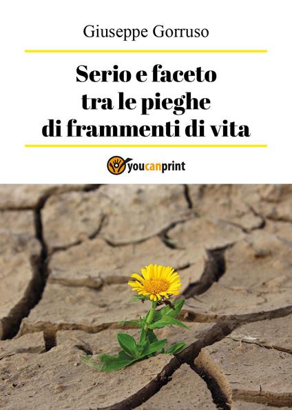 Serio e faceto tra le pieghe di frammenti di vita - Giuseppe Gorruso - copertina