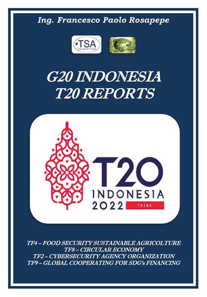 G20 Indonesia T20 reports città future - Francesco Paolo Rosapepe - copertina