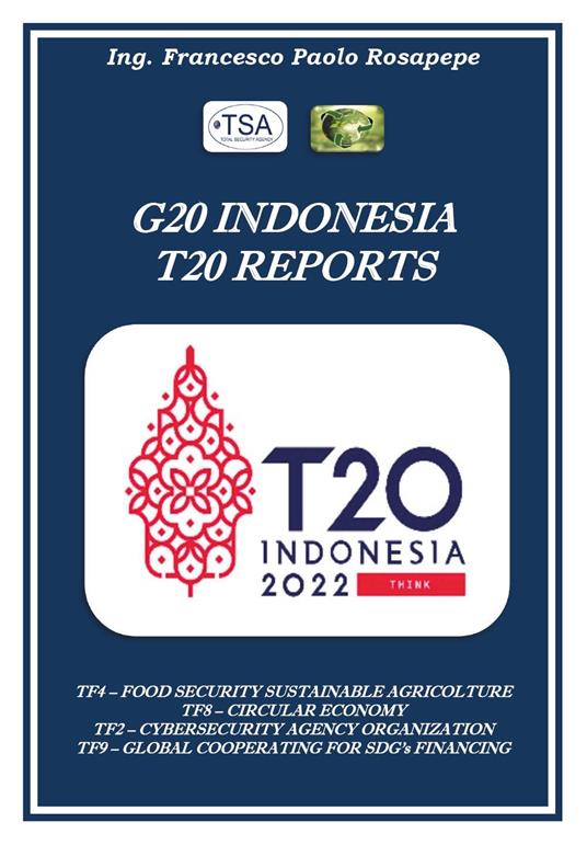 G20 Indonesia T20 reports città future - Francesco Paolo Rosapepe - copertina