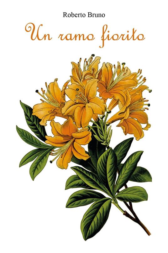Un ramo fiorito - Roberto Bruno - copertina