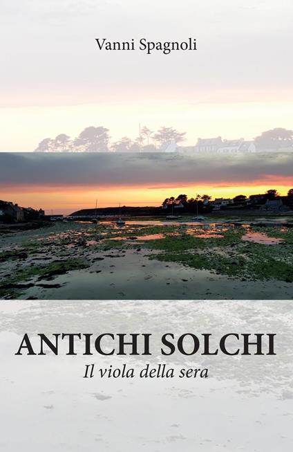 Antichi solchi - Vanni Spagnoli - copertina
