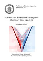 Numerical and experimental investigation of unsteady plane liquid jets