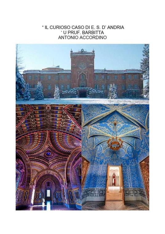 Il curioso caso di E. S. D'Andria ('u Pruf. Barbitta) - Antonio Accordino - copertina