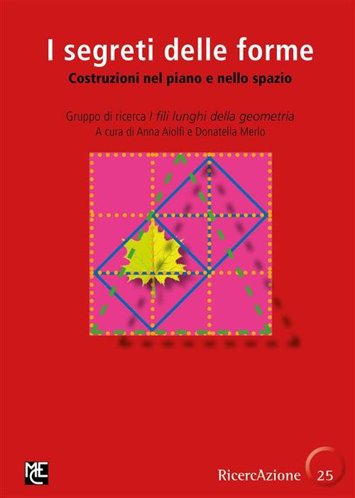 I segreti delle forme. Costruzioni nel piano e nello spazio - Anna Aiolfi,Donatella Merlo - ebook