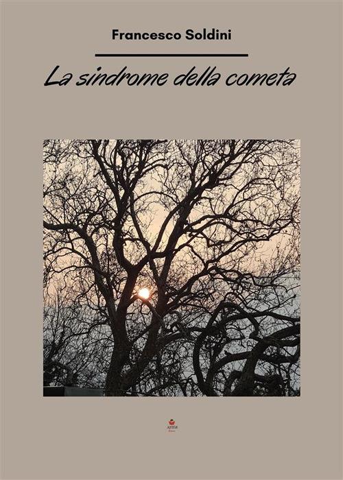 La sindrome della cometa - Francesco Soldini - ebook