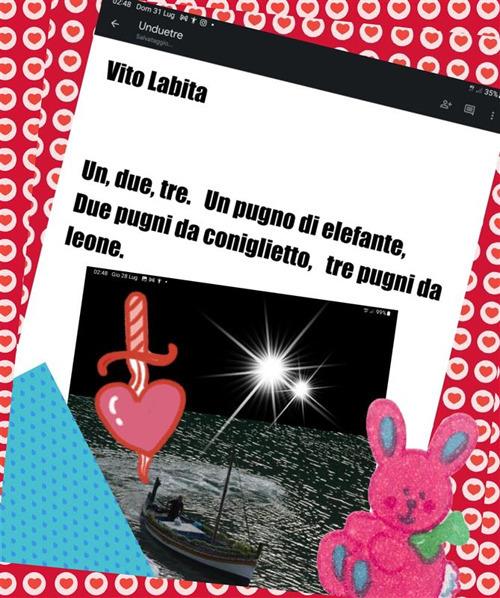 Un due tre. Un pugno di elefante, due pugni da coniglietto, tre pugni da leone - Vito Labita - ebook
