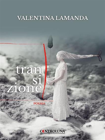 Transizione - Valentina Lamanda - ebook
