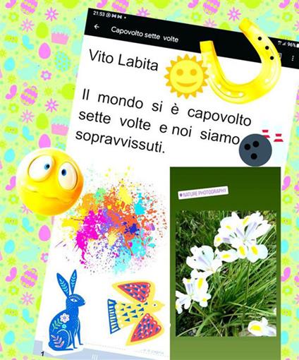 Il mondo si è capovolto sette volte e noi siamo sopravvissuti - Vito Labita - ebook