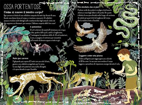 Il grande libro della natura. Ediz. a colori - Yuval Zommer - 3