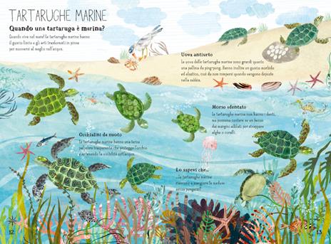 Il grande libro del mare. Ediz. a colori - Yuval Zommer - 2