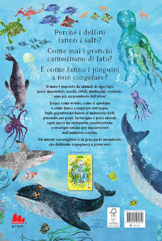 Il grande libro del mare. Ediz. a colori - Yuval Zommer - 4