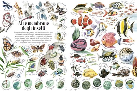 Forme e motivi della natura - Jana Sedlácková,Stepánka Sekaninova - 3