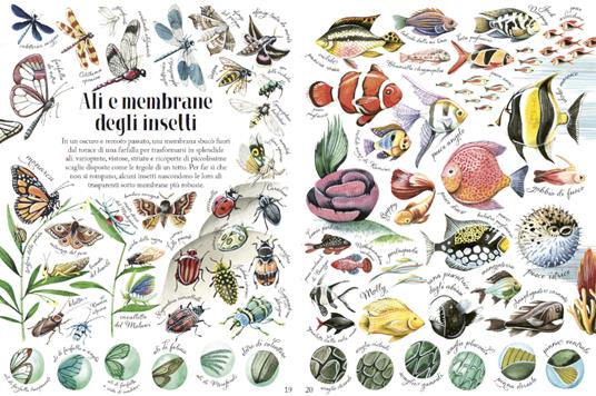 Forme e motivi della natura - Jana Sedlácková,Stepánka Sekaninova - 3