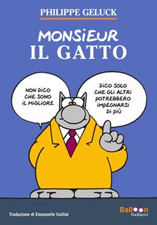 Il gatto