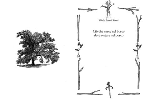 Storie di montagna - Christian Antonini,Giuditta Campello,Carolina D'Angelo - 3