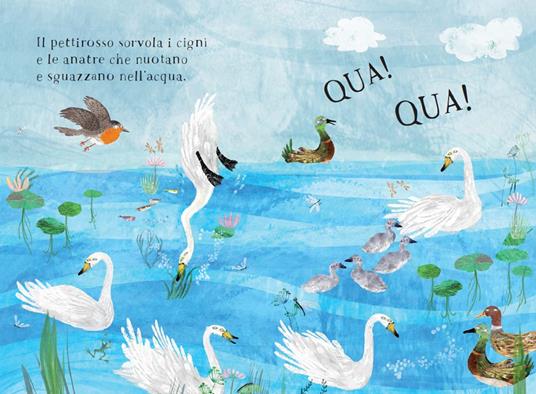 Il piccolo libro degli uccelli. Ediz. a colori - Yuval Zommer - 2