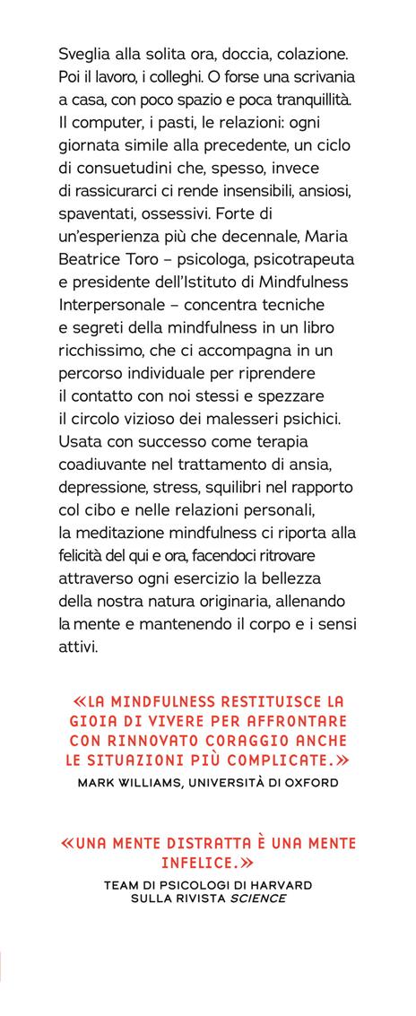 I 7 pilastri della mindfulness. La via per liberarsi da rabbia, stress e sofferenza interiore - Maria Beatrice Toro - 2