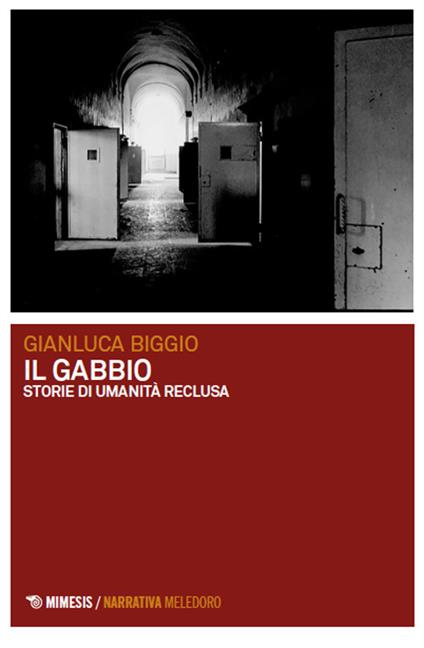 Il gabbio. Storie di umanità reclusa - Gianluca Biggio - copertina