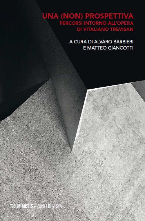 Una (non) prospettiva. Percorsi intorno all’opera di Vitaliano Trevisan - copertina