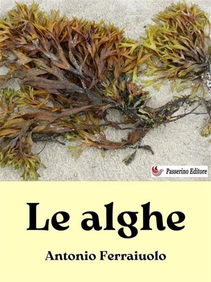 Le alghe - Antonio Ferraiuolo - ebook