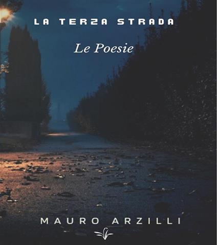 La terza strada - Mauro Arzilli - ebook