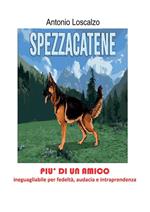 Spezzacatene