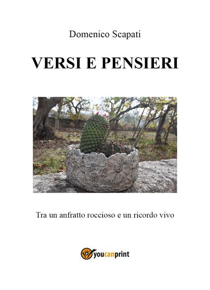 Versi e pensieri. Tra un anfratto roccioso e un ricordo vivo - Domenico Scapati - copertina