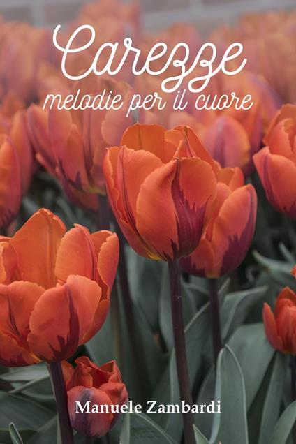 Carezze. Melodie per il cuore - Manuele Zambardi - copertina