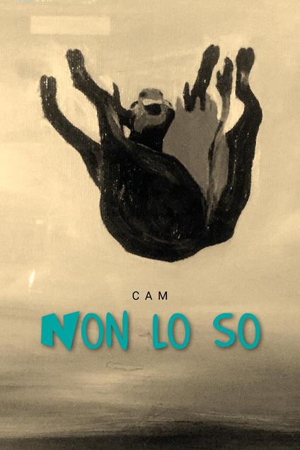Non lo so - Camillo Bellagamba - copertina