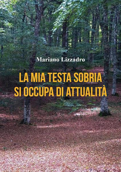 La mia testa sobria si occupa di attualità - Mariano Lizzadro - copertina