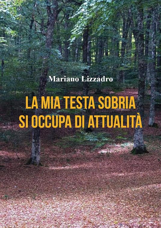 La mia testa sobria si occupa di attualità - Mariano Lizzadro - copertina