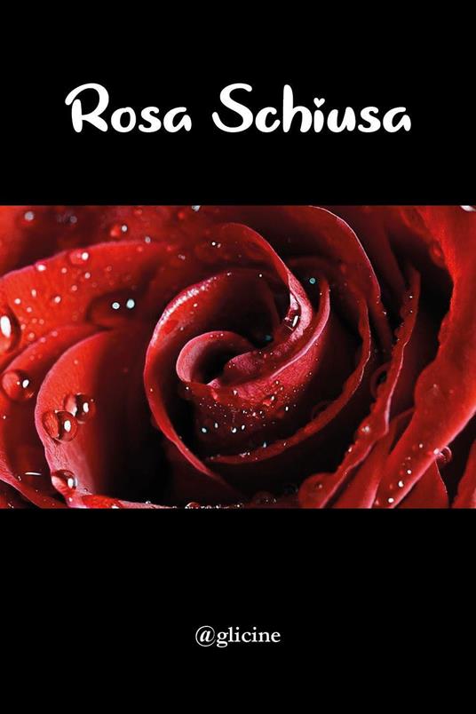 Rosa schiusa - copertina