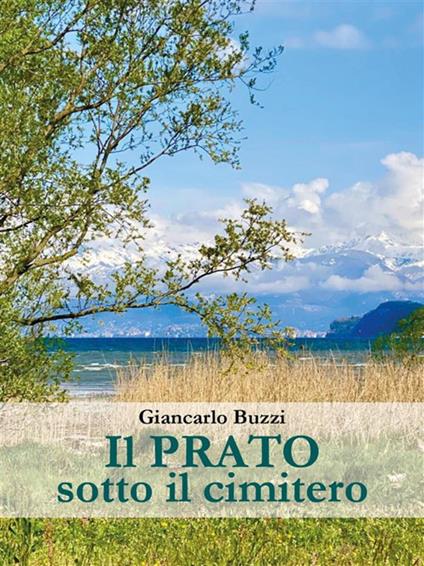 Il prato sotto il cimitero - Giancarlo Buzzi - ebook