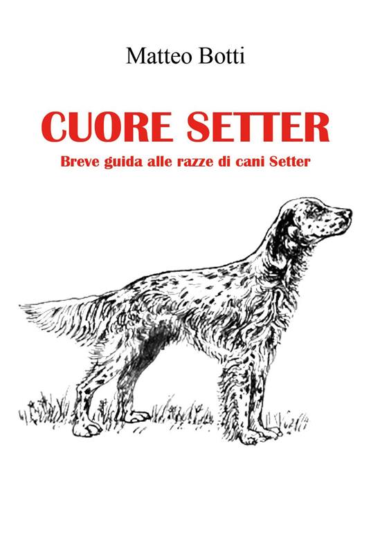 Cuore setter - Matteo Botti - copertina