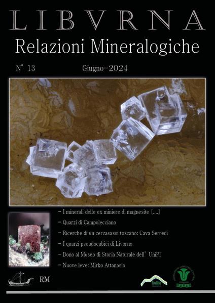 Relazioni mineralogiche. Libvrna. Vol. 13 - Marco Bonifazi - copertina