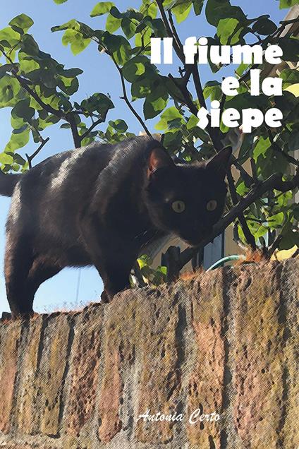Il iume e la siepe - Antonia Certo - copertina