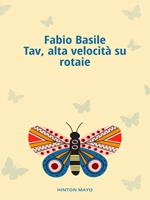 Tav, alta velocità su rotaie