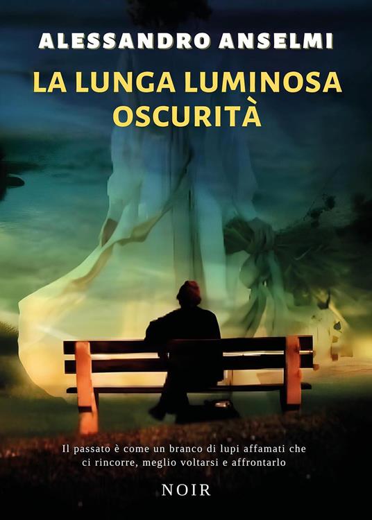 La lunga luminosa oscurità - Alessandro Anselmi - copertina